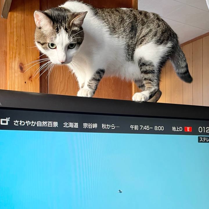 12dbddd8 e516 4818 ad03 3d54e2631fda 1769296236884