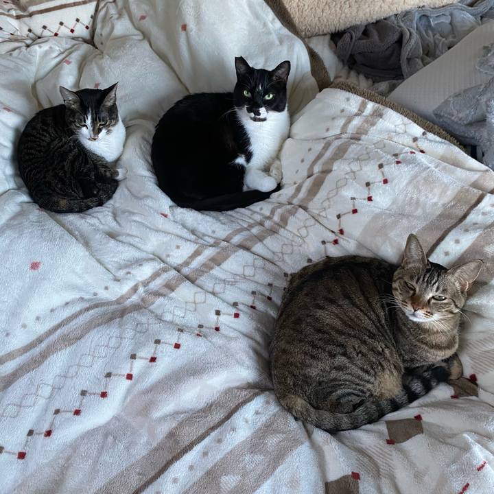 12dbe696 dba5 45b9 a8c0 f5a59929928a 1671945572967