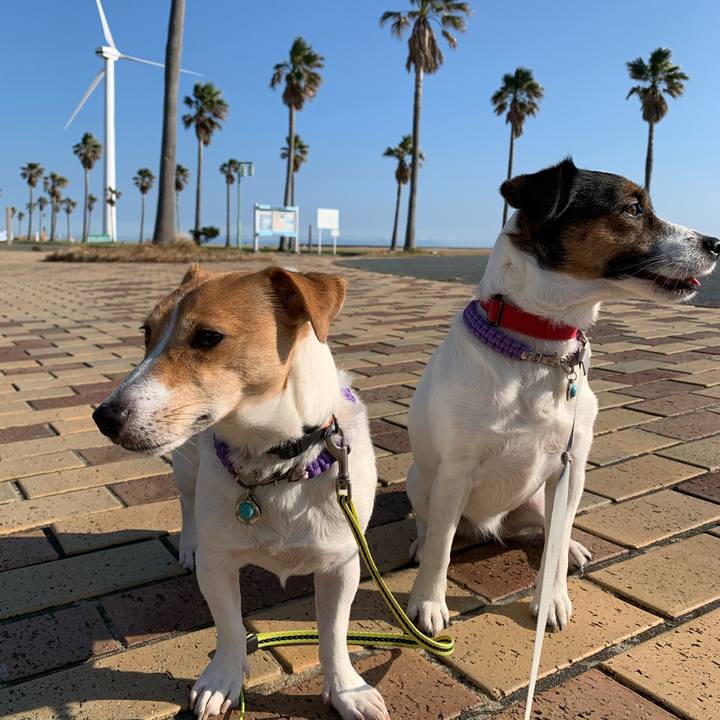 12dbf376 42fe 4dc1 b3d0 3e8cb0e6fe13 1576298301546