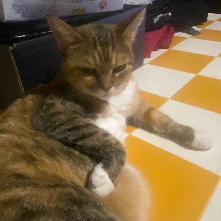 12dc4fc3 ffa9 4c24 b60f 30819d627dfb 1694868844538