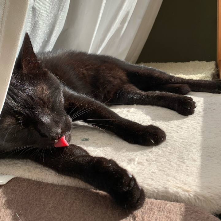 12dc9b70 500a 4800 84ac aed2fcc3defd 1540429768665