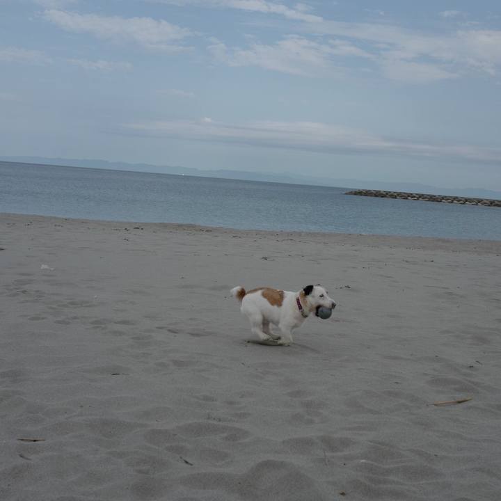 12dc9eb1 0944 40cc b80d 1a79a05bff0b 1562646039562