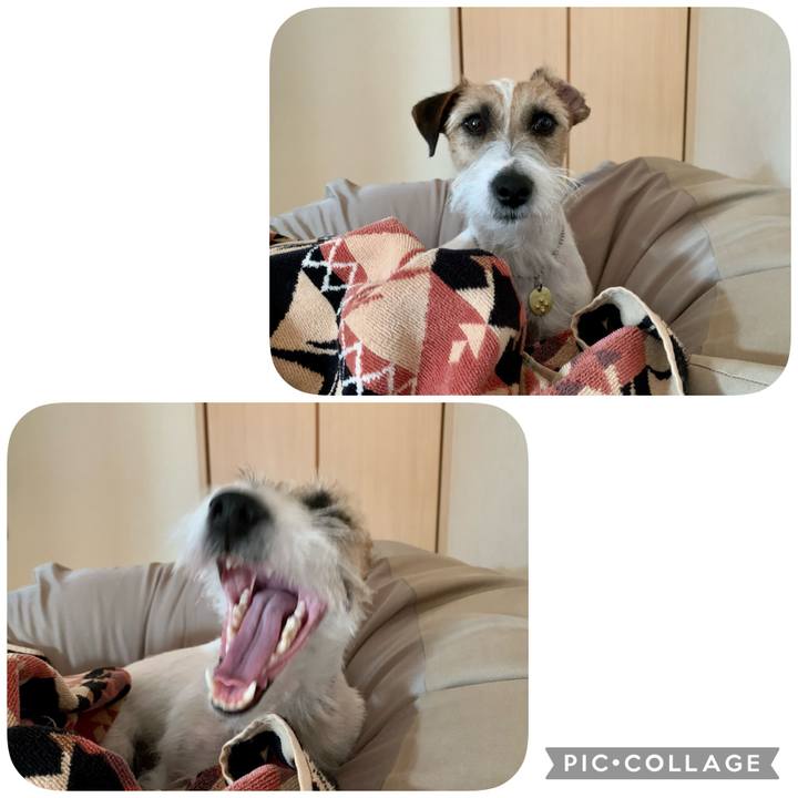 12dcb756 b2ed 4028 a4e2 fbbb926c5d0f 1613373143689