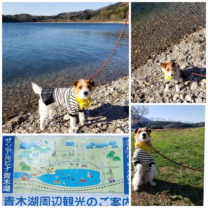 12dcda83 ac2a 4b1d be99 ede195860ade 1556854831021