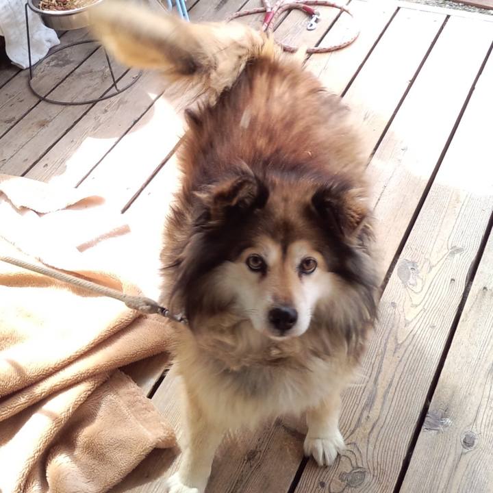 12dcde3f dfe2 4ad2 971d 23699975048d 1601803958874