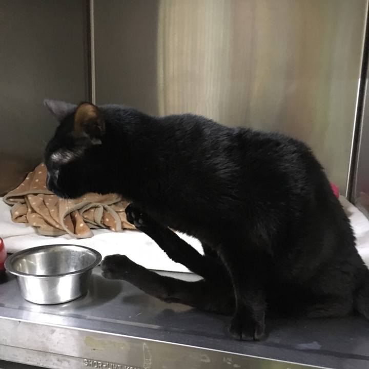 12dcf364 a115 448e 812f 09ed47c9bca5 1512278820954