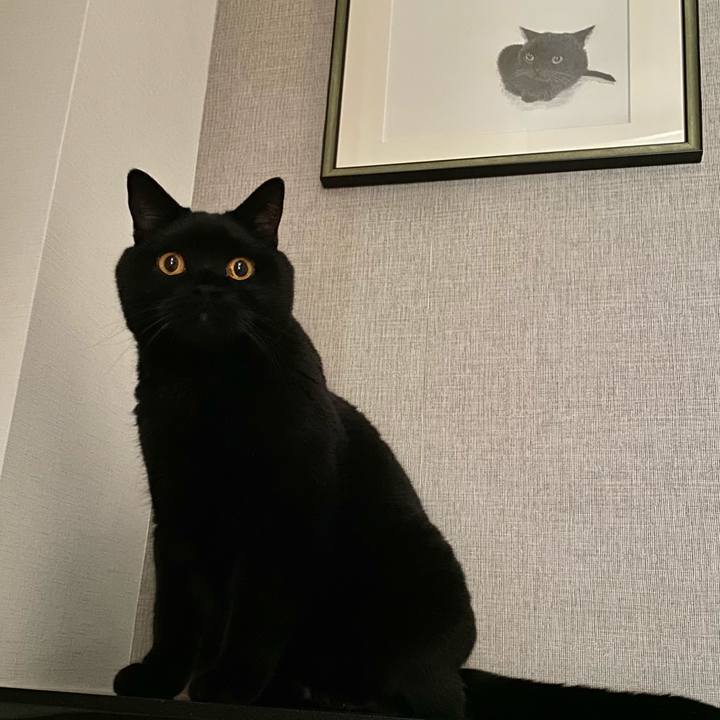 12dd0622 c7fc 4fef aa90 b0f6e2bf4b87 1628929854037