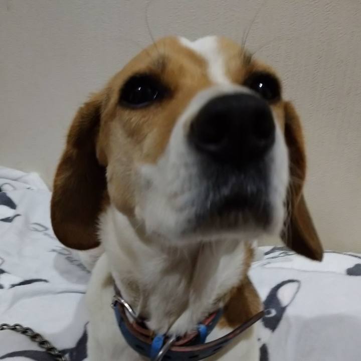 12dd1204 77bb 4de6 84a1 5654e628358c 1610897122378