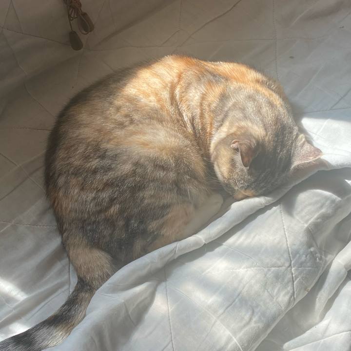 12dd345f 14b8 4e2c 85e8 b52900770a64 1647254454742