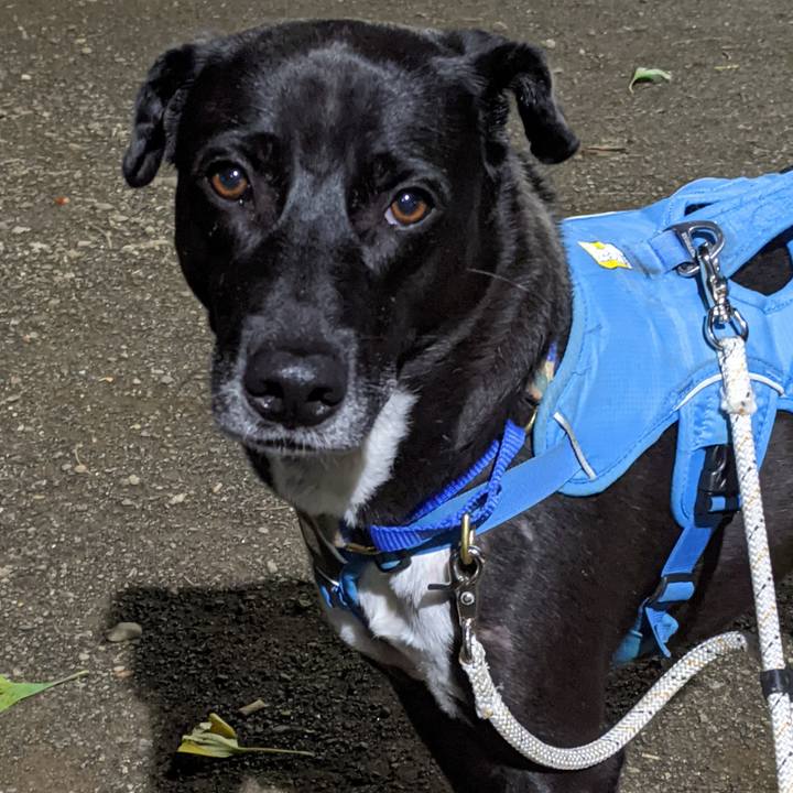 12dd36cf 43be 446a bbb7 47685eb6de9a 1636542927158