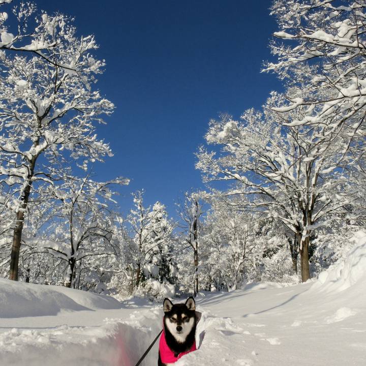 12dd7175 d521 4bb3 95fb 71d36b195676 1515814337758