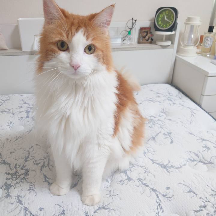 12dd7194 f523 4292 ae34 e89c130db7a0 1693196639224