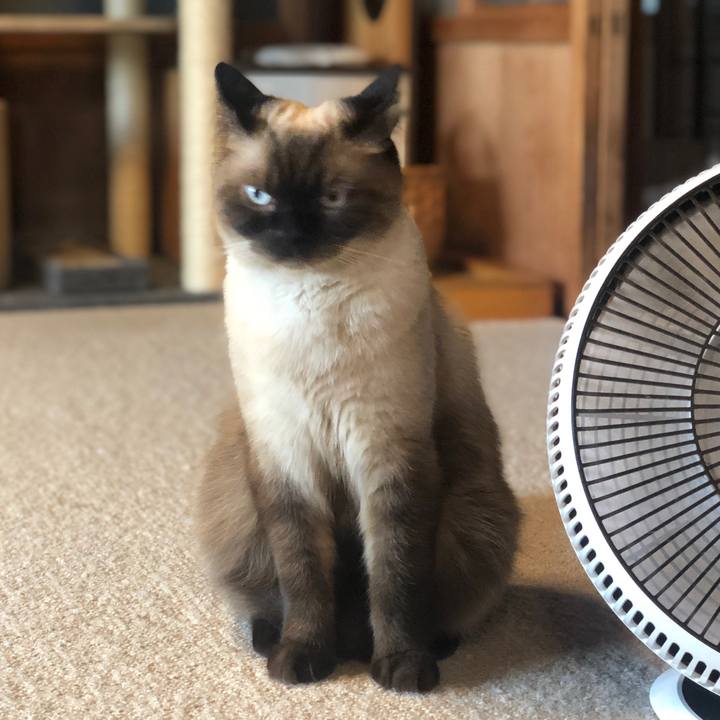 12dd78fa 49d6 4099 afa1 a950df95e81e 1629371003676