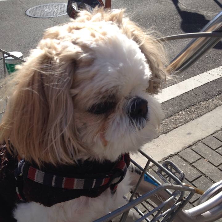 12dd9bcd e59d 43db 8f2a d8123ce36596 1513200917999