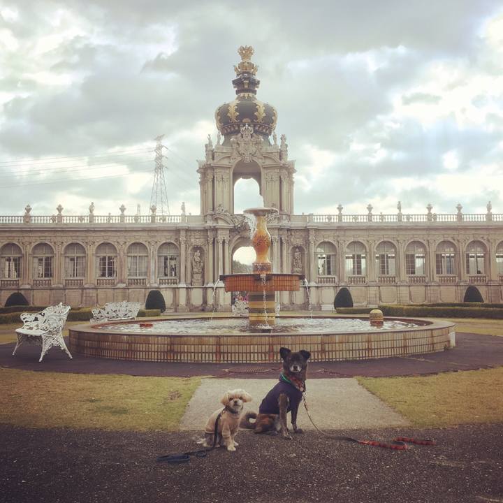 12ddafc5 0d12 47a9 9f87 552e0d3e1be8 1542642870063