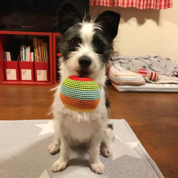 12ddeac8 81b6 4839 afcf 86e8f157e9a3 1529748952178