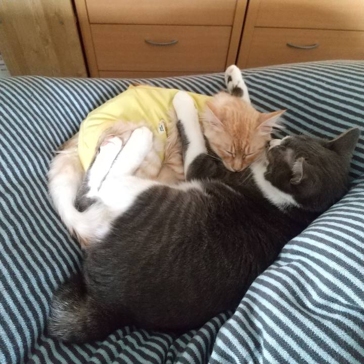 12ddfa33 3eb5 43a7 95d1 199b3d4bbbb6 1615247216406