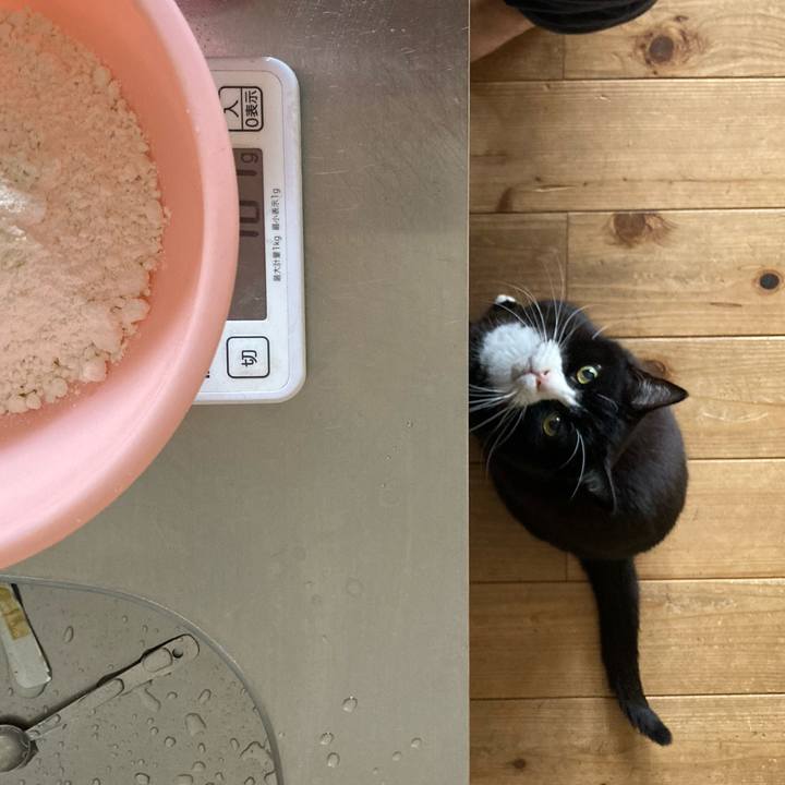 12de32fe ed33 4e78 8ef3 1e63e0f6ec79 1609156592928