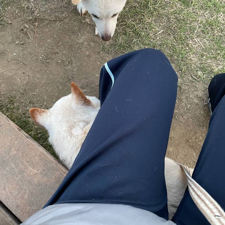 12de39c6 b687 44f8 b1d5 71d2516d1e56 1636978589069