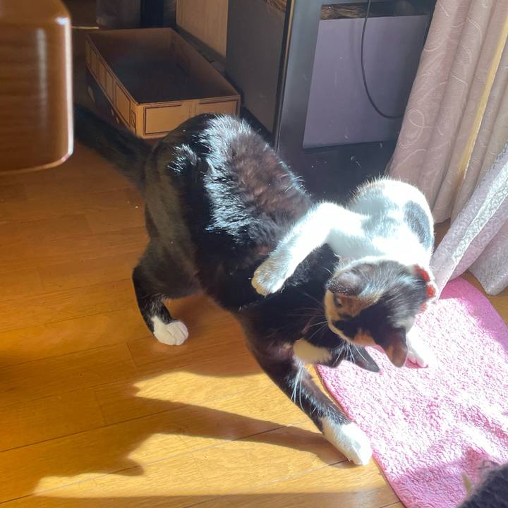 12de3a66 fcfc 4ed9 a3b3 adb725611b38 1668671700984