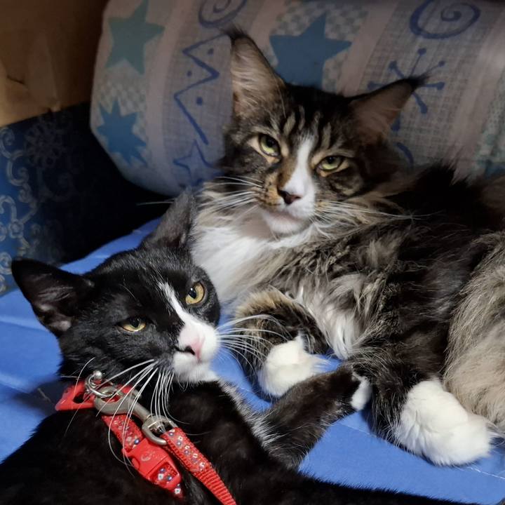 12de3eaa 9f9f 4563 9f57 b043e8cfeb14 1754104090529