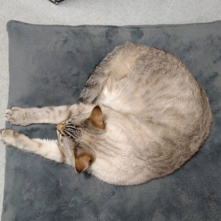 12de8771 3f47 4410 afe3 dfa29dff1c70 1677419003491