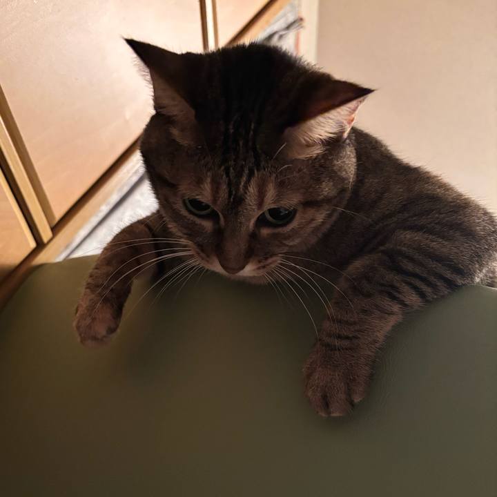 12de9187 38bf 4f02 8540 90b86c36b237 1765073884036