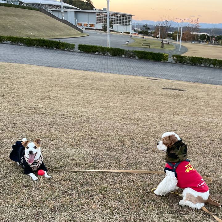 12dead59 e80c 4782 94bc 260f824241ef 1606990691509