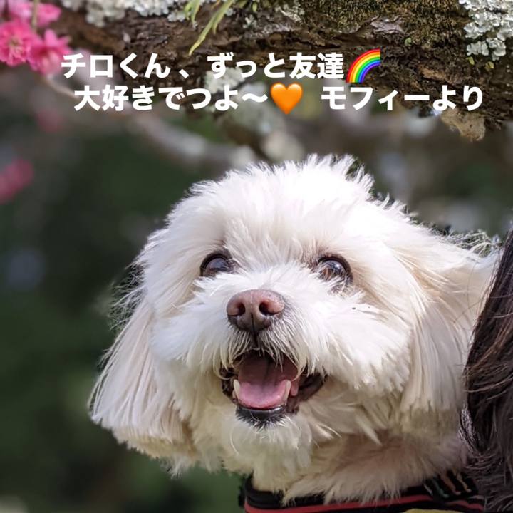 12deae16 274c 4a8f 8ada fd2510b98de8 1764750457869