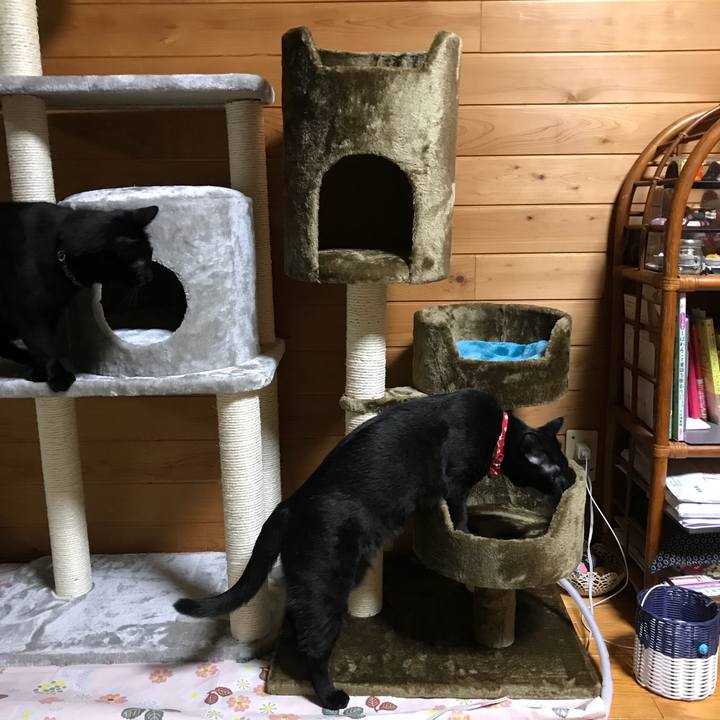 12deb742 0bbb 4f43 b600 5a692de37768 1515934813392