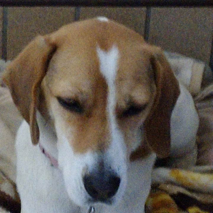 12dec619 699c 4c55 b99a 313b537bf0c3 1578456834876