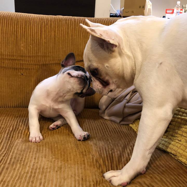 12ded1cd a3a1 491e 98fc fd18e6570bfb 1556072174450