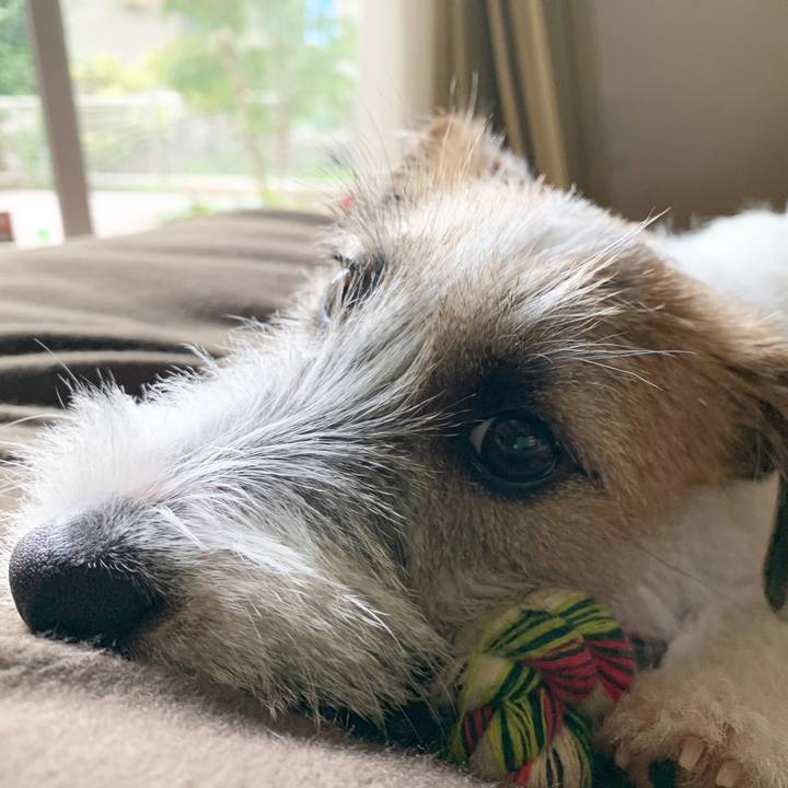 12deecf4 822f 4d42 bbf0 dee367862348 1567224364827