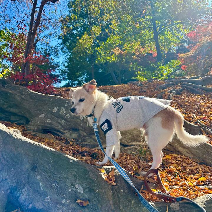 12df091c 6bd8 40a1 acd2 7557fc07c177 1763809554979