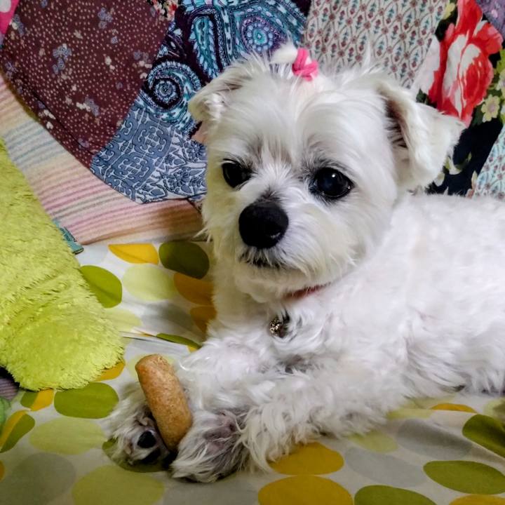 12df25ee 8fff 4612 b559 031acfaea91e 1745578177381