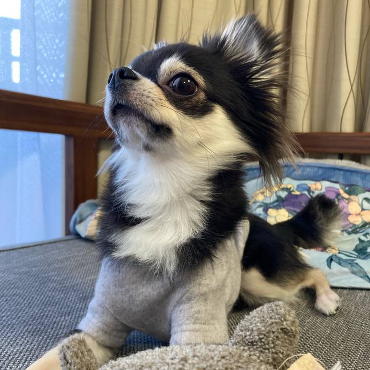 12df4aee 199e 4f49 9299 e987cd5561cd 1639803696167