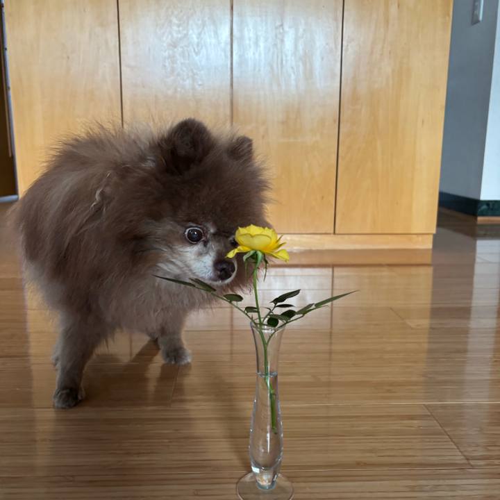 12df5a48 f613 486a 9598 1ddb5f5f0883 1759448167548