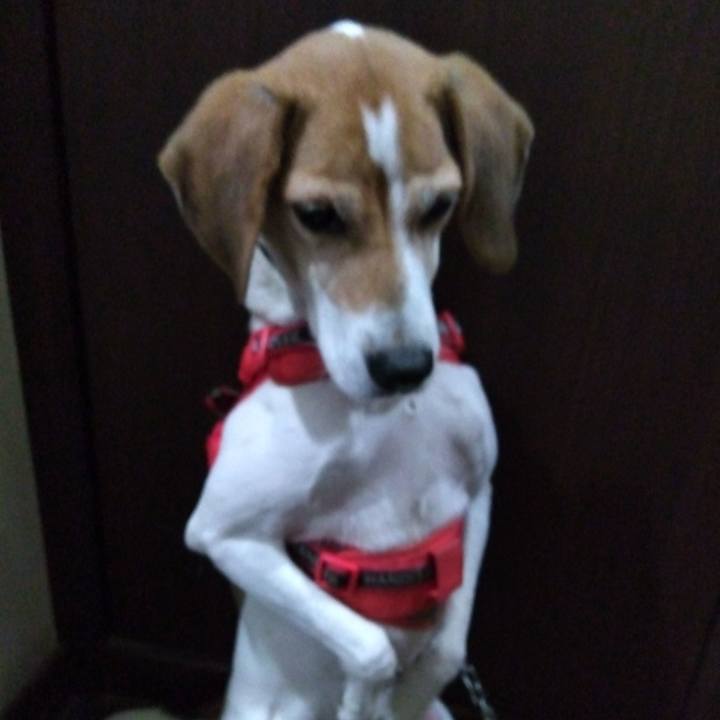 12df5ece 5f93 4789 9df5 154b4c5f4a43 1705497709294