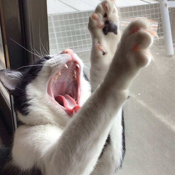 12df8deb 3216 4beb a75f fc60c2f713c3 1650077011281