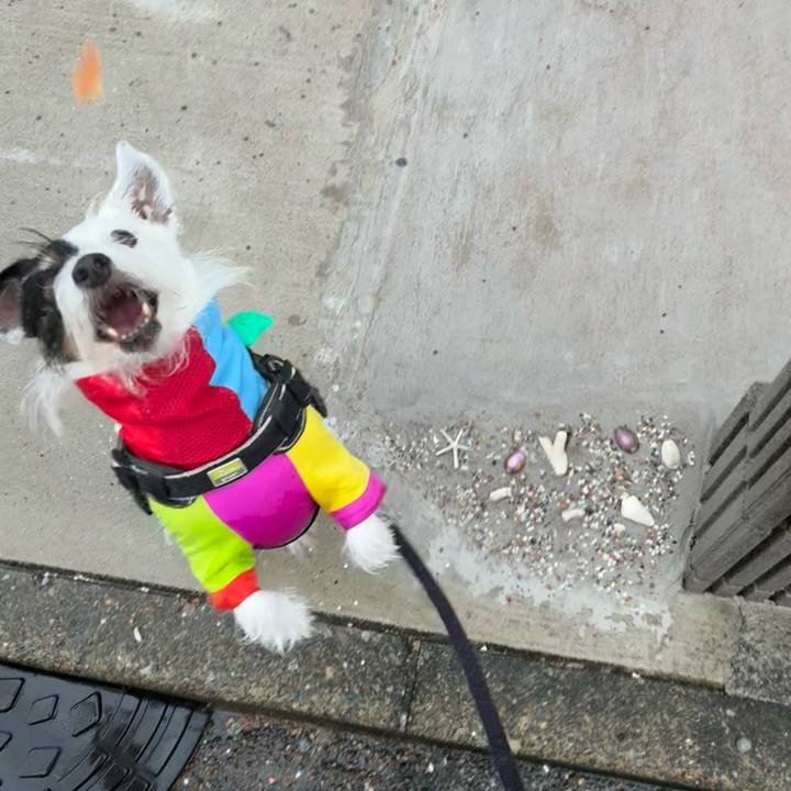 12df9d20 ece4 49c9 8736 d4e1f5d77112 1759278969311