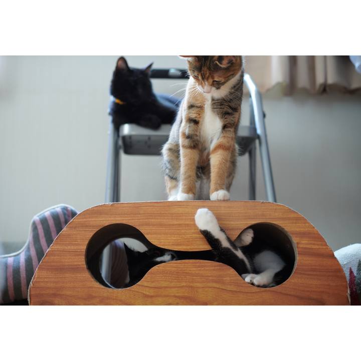 12dfcc75 974f 4a91 b060 58473b3c5ddb 1602167785289