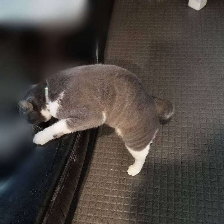 12dfce43 cc10 4283 9103 9249b38923e9 1635803604501