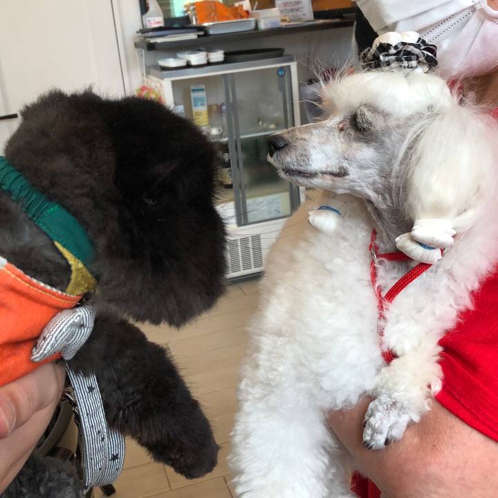 12dfe3a1 0c35 4075 9b8b 4af4b0722917 1625914356448