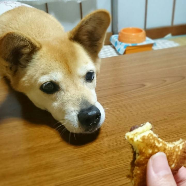 12e01d12 30a0 4ae4 8175 39e1992ae02c 1559228484297