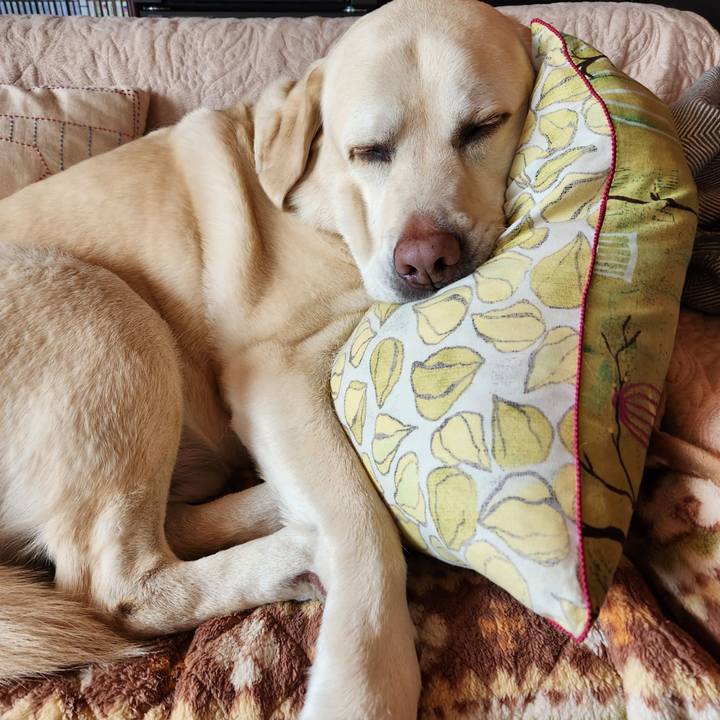 12e01e0c 8c5f 476c b320 95e833ede00a 1706063585528