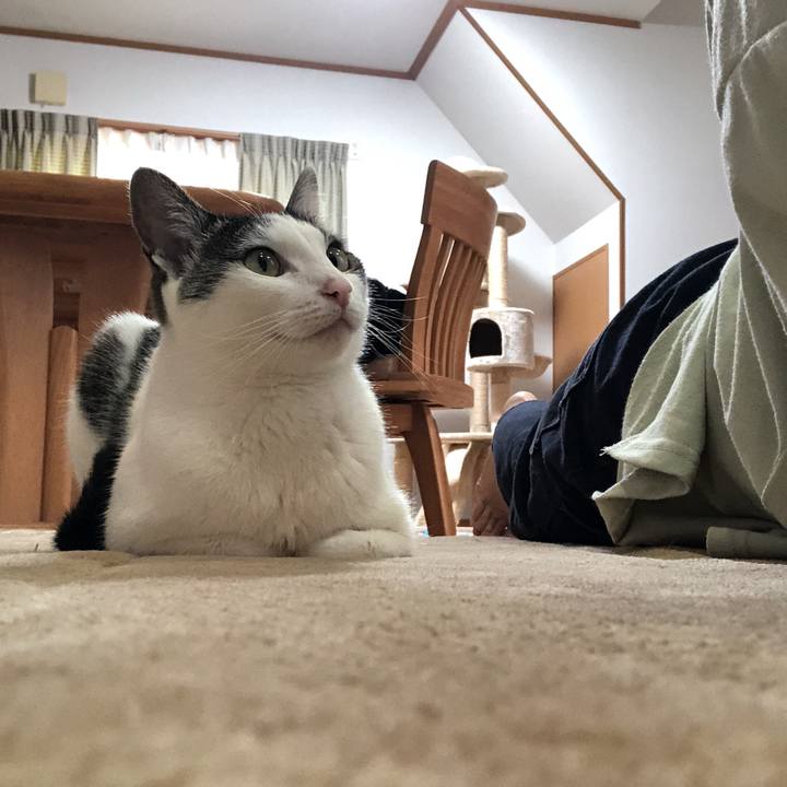 12e047b5 2eb9 4946 a669 33a9d6e9b632 1621241577287