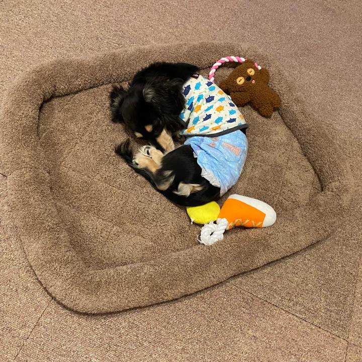 12e0812a f5c8 4431 a10a da9b2d398dbe 1673831336885