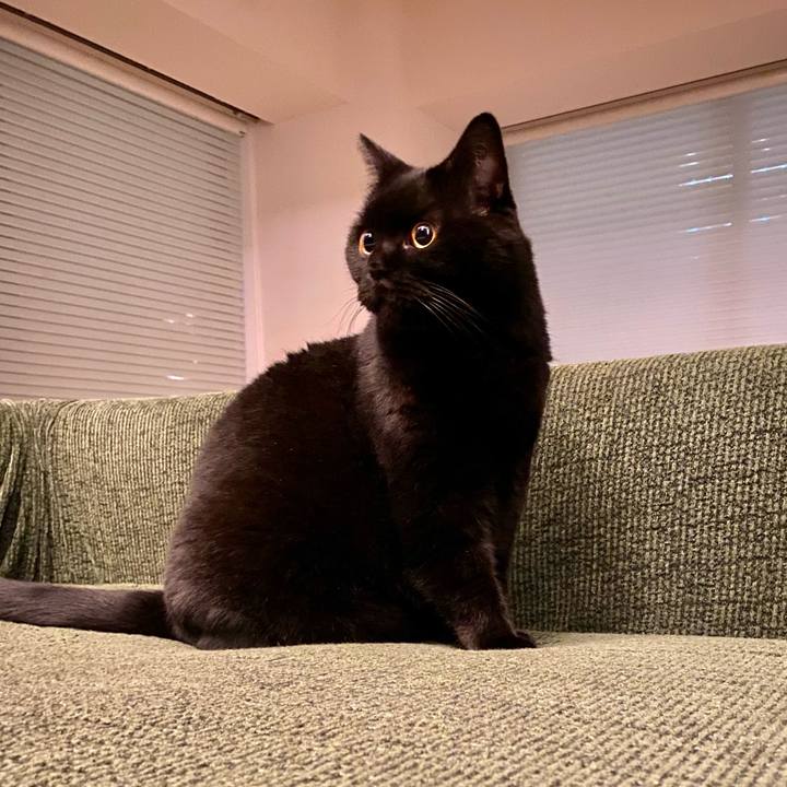 12e08468 a7b2 4714 ad93 0e4f5aa3e103 1665665355707