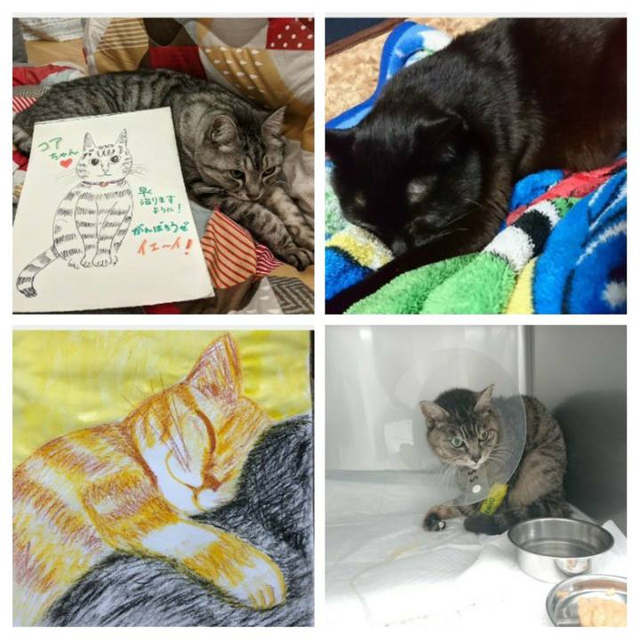 12e09f36 4a96 4fce 845d 4ff9cf504d3d 1585686348144