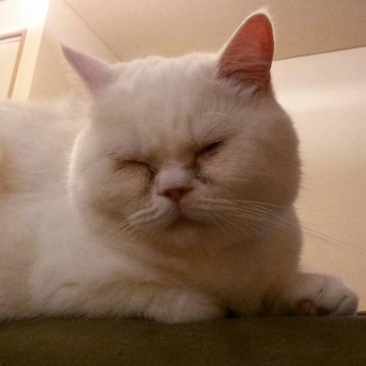 12e09f53 8426 4481 89f7 2e7d05cdf616 1515897667120